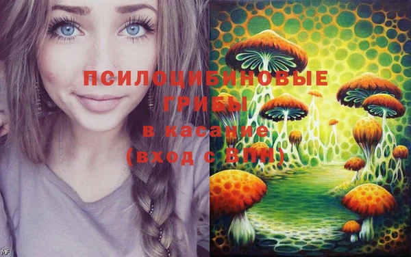 MESCALINE Бородино